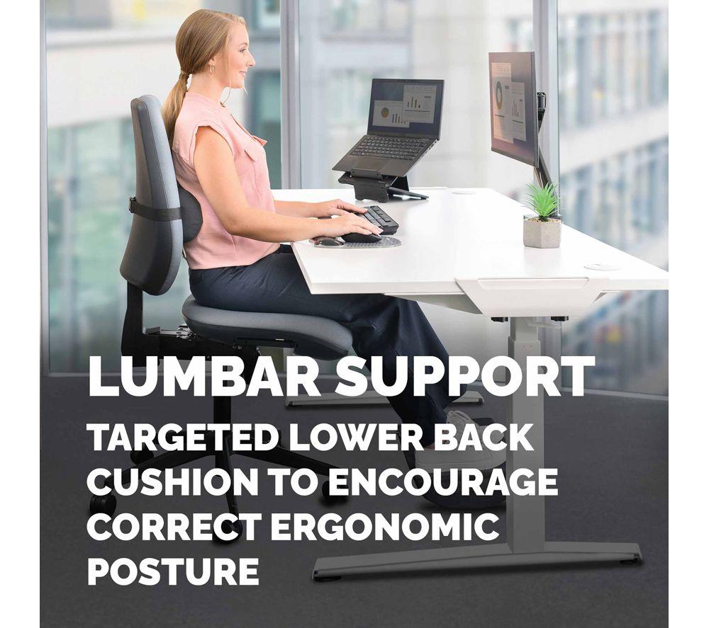 FELLOWES Breyta Lumbar Back Support Cushion - Black image number 4 of 7