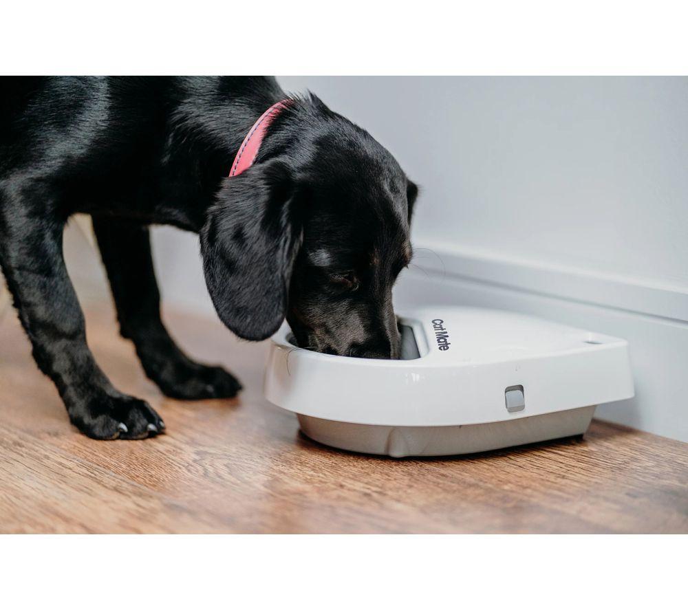 CLOSER PETS Cat Mate C300 Three-Meal Automatic Pet Feeder - White image number 6 of 6