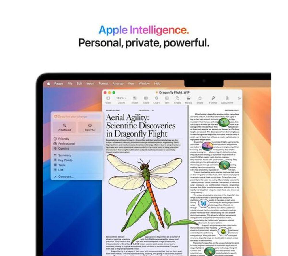APPLE Refurbished MacBook Air 13.6" (2025) - M4, 256 GB SSD, Silver (Excellent Condition) image number 7 of 11