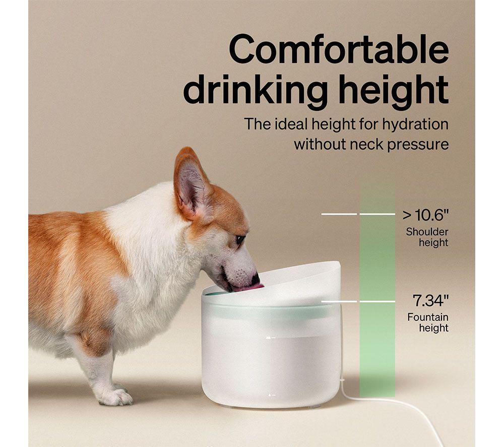 PETLIBRO Capsule Dog Water Fountain - White image number 6 of 10