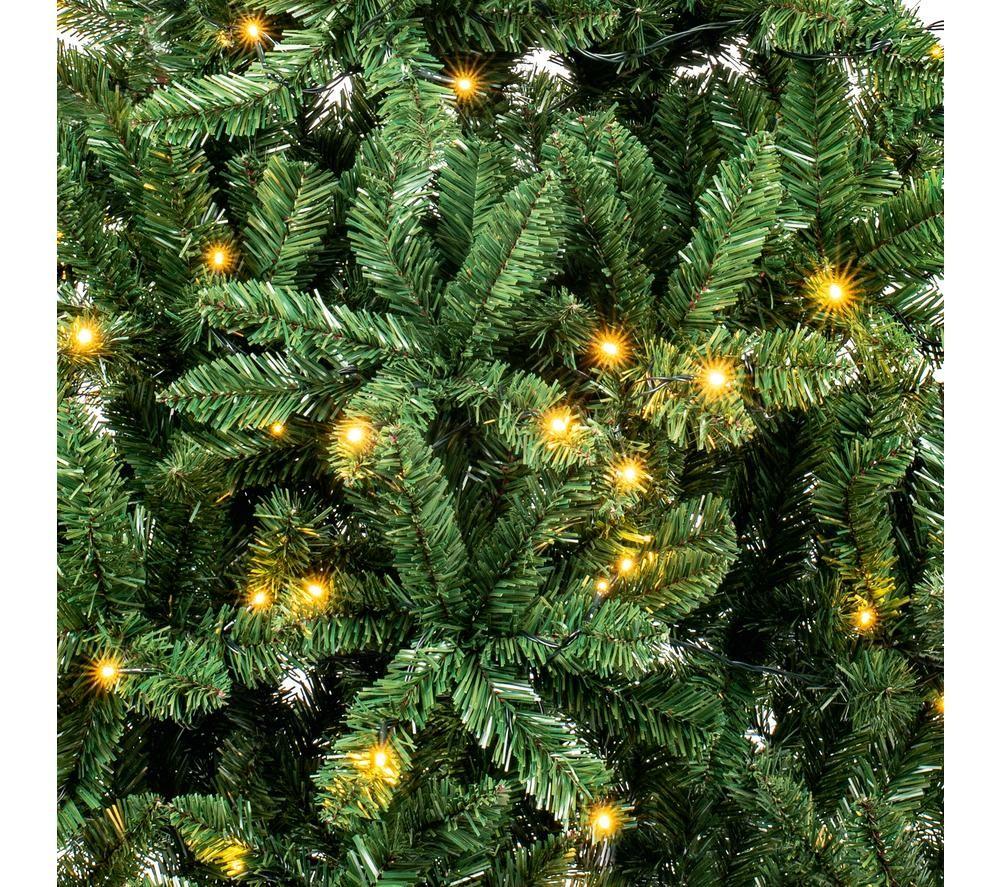 PREMIER Pre-lit Douglas Fir Christmas Tree - 1.8 m / 5.9 ft image number 2 of 5