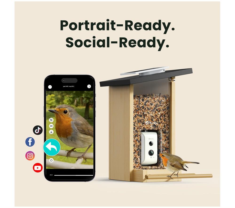 BIRDFY Ebony Lite Smart Bird Feeder with Camera and Solar Panel image number 3 of 11