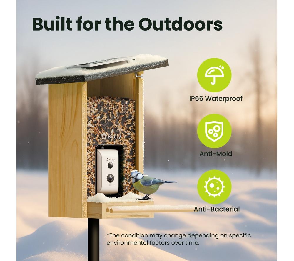 BIRDFY Ebony Lite Smart Bird Feeder with Camera and Solar Panel image number 8 of 11
