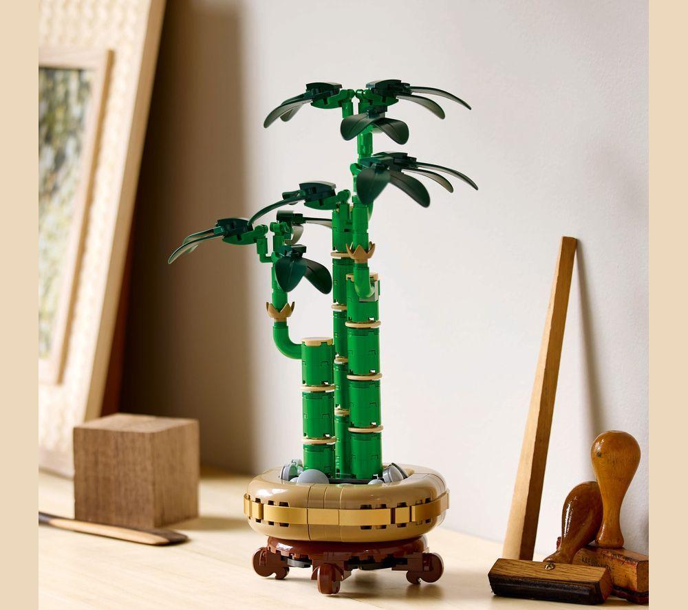LEGO Botanicals 10344 Lucky Bamboo Set for Adults image number 3 of 8