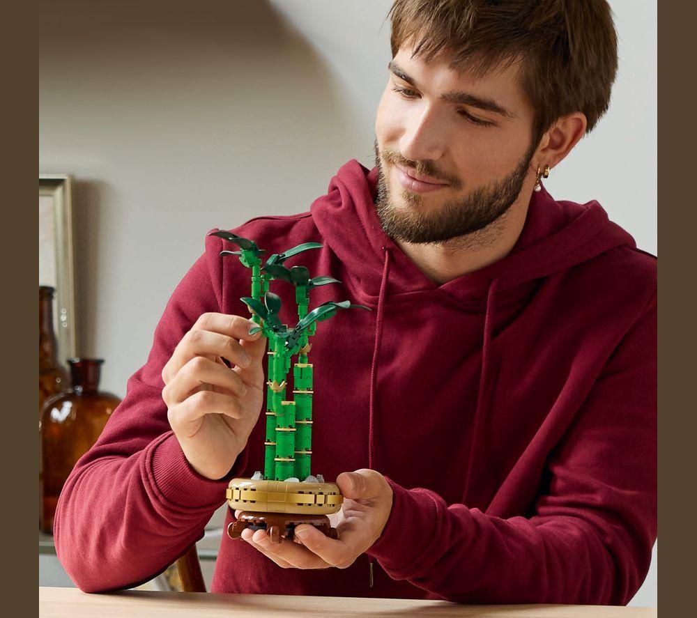 LEGO Botanicals 10344 Lucky Bamboo Set for Adults image number 4 of 8