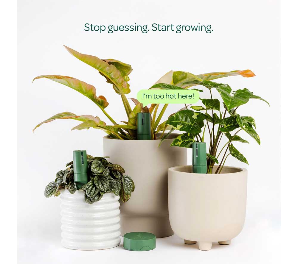 WILLOW Plant Sensor Starter Pack - Moss Green, Pack of 3 image number 2 of 7