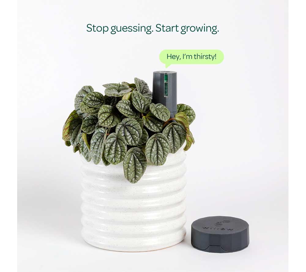 WILLOW Plant Sensor Starter Pack - Charcoal image number 2 of 7
