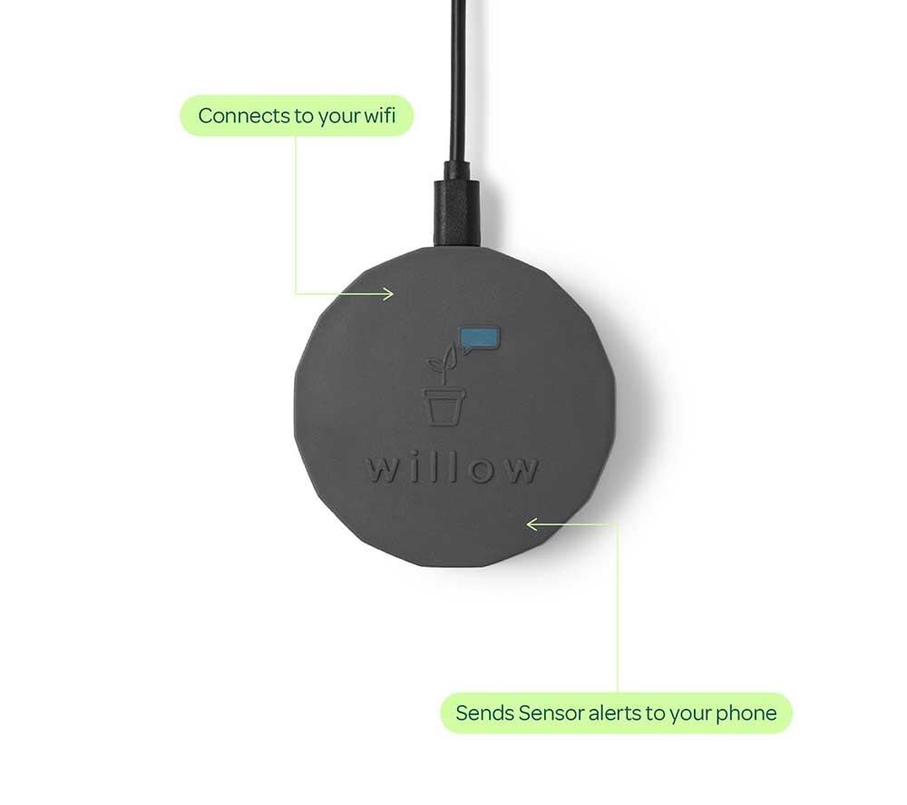 WILLOW Plant Sensor Starter Pack - Charcoal image number 4 of 7