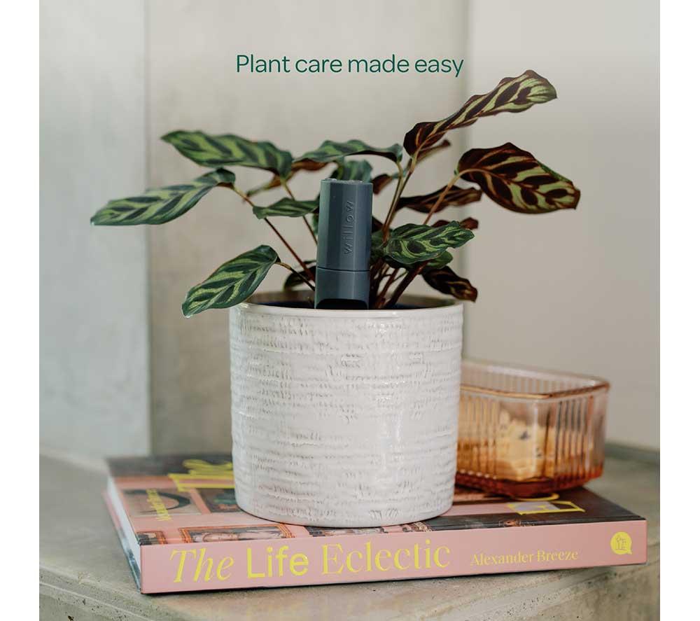 WILLOW Plant Sensor Starter Pack - Charcoal image number 7 of 7