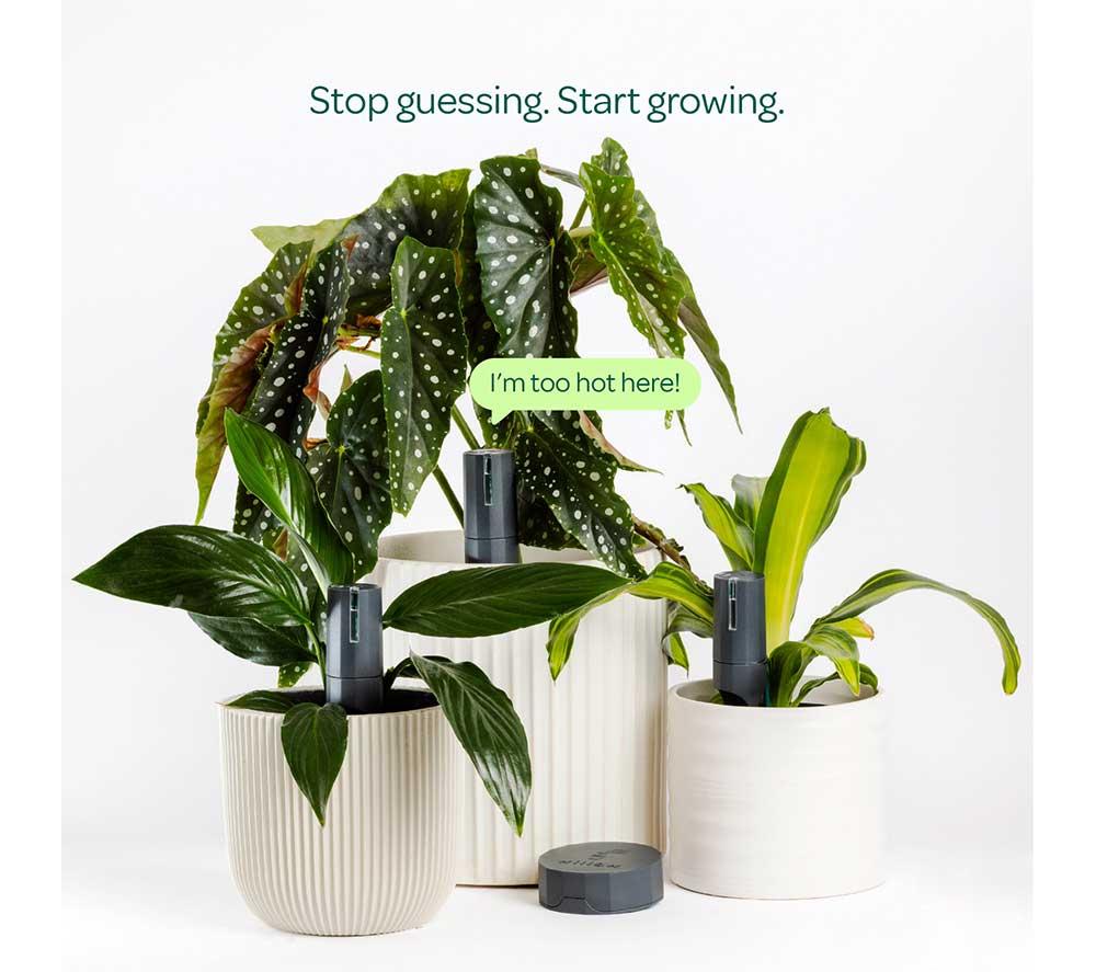 WILLOW Plant Sensor Starter Pack - Charcoal, Pack of 3 image number 2 of 7