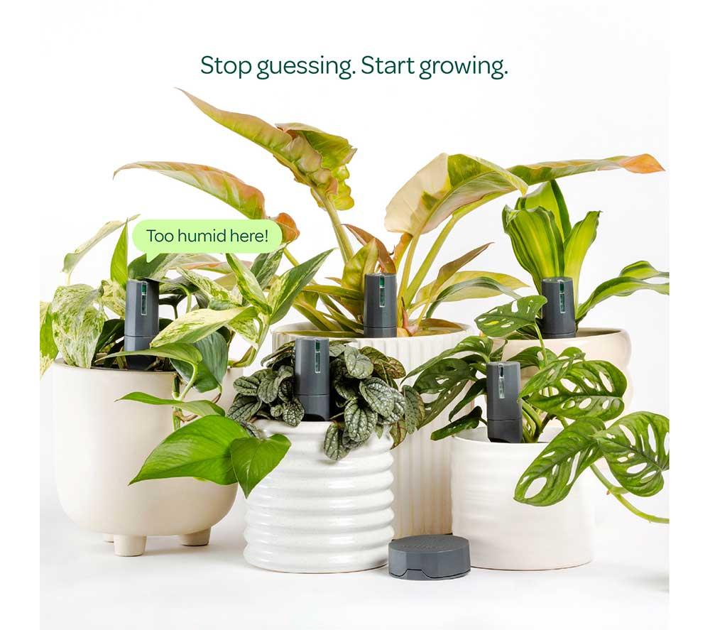 WILLOW Urban Jungle Plant Sensor Pack - Charcoal, Pack of 5 image number 2 of 7