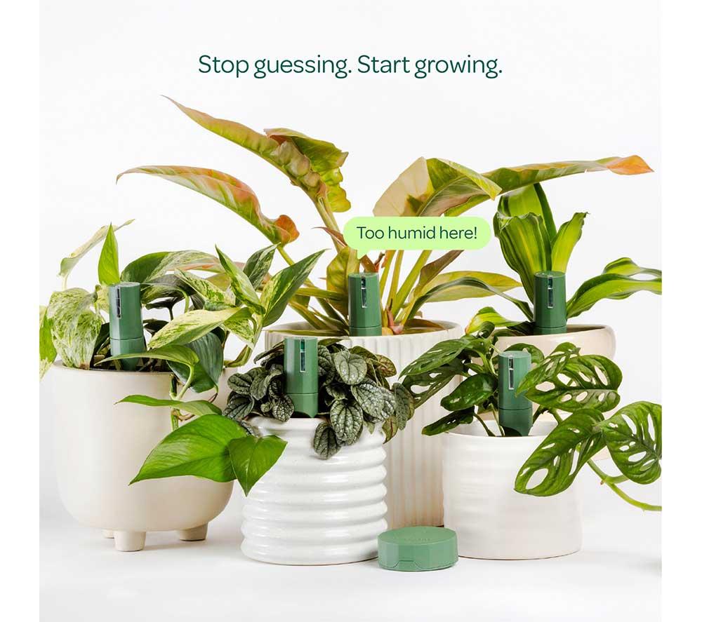 WILLOW Urban Jungle Plant Sensor Pack - Moss, Pack of 5 image number 2 of 7