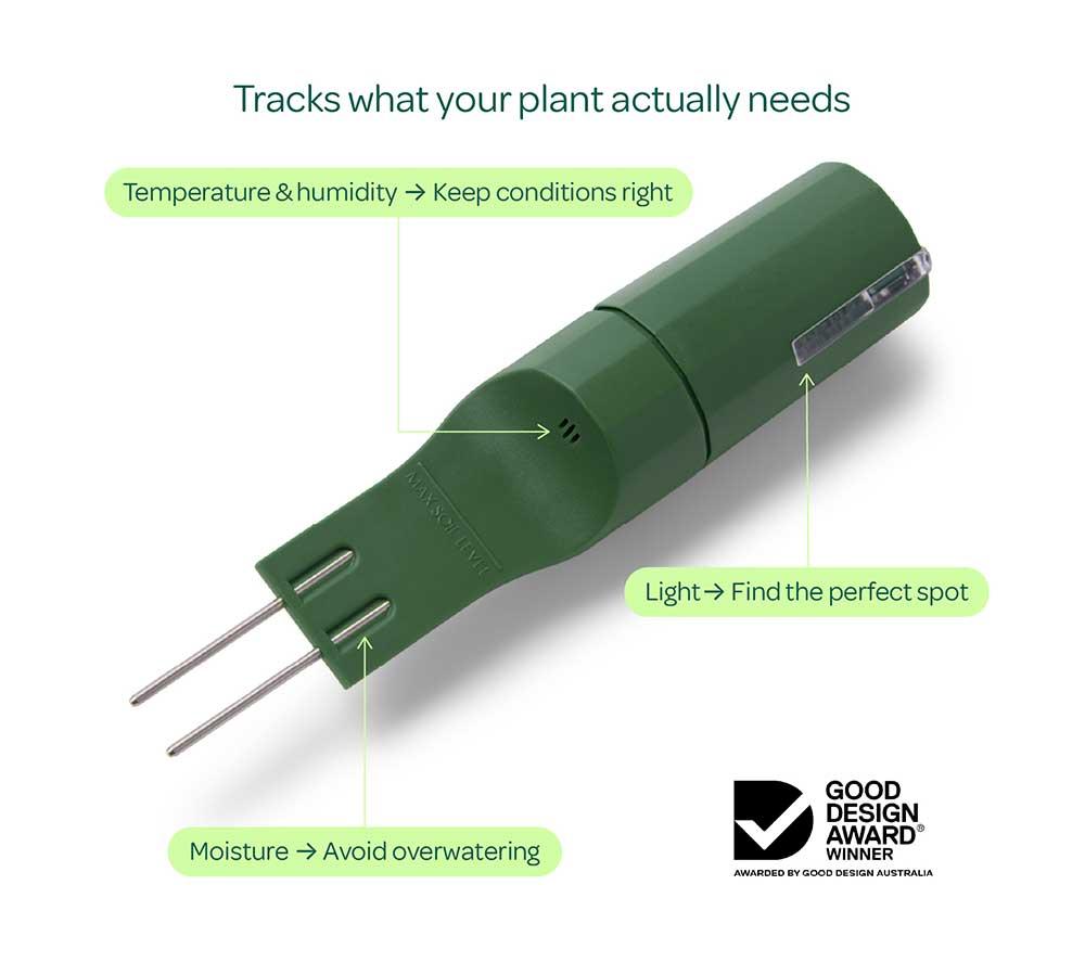 WILLOW Urban Jungle Plant Sensor Pack - Moss, Pack of 5 image number 3 of 7
