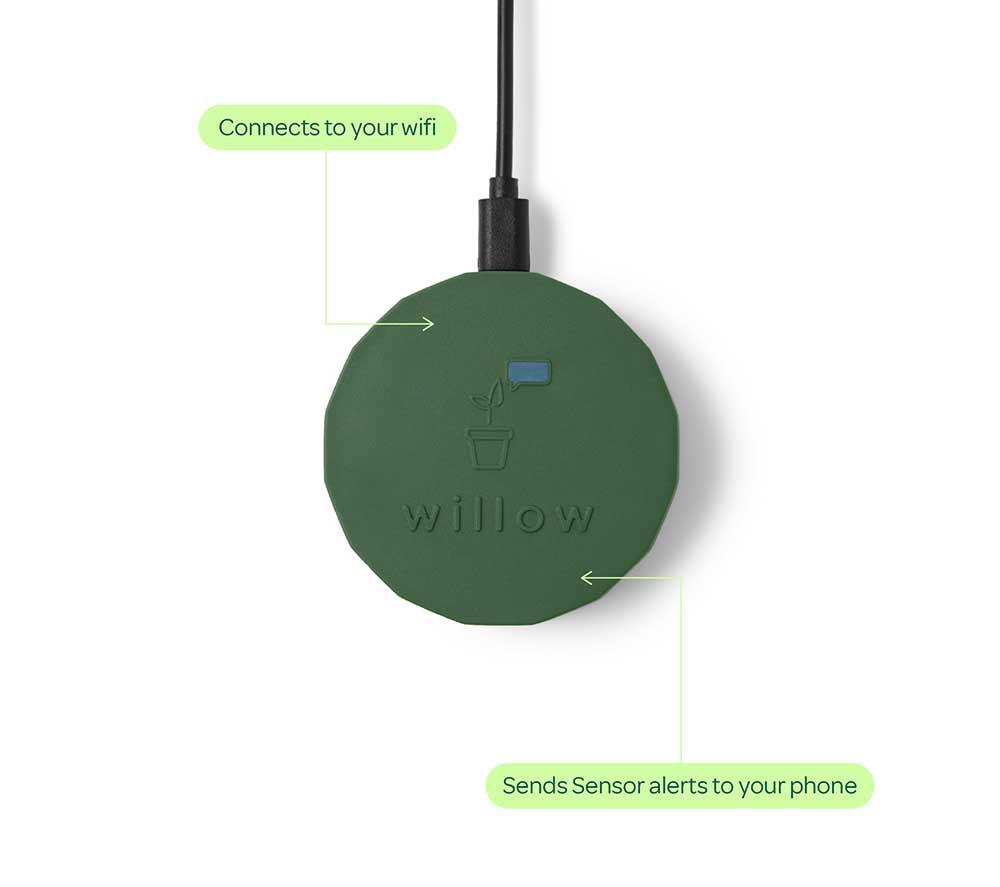 WILLOW Urban Jungle Plant Sensor Pack - Moss, Pack of 5 image number 4 of 7
