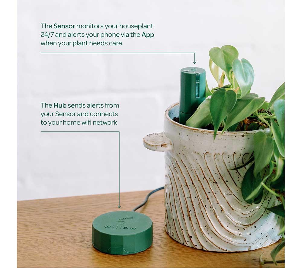 WILLOW Urban Jungle Plant Sensor Pack - Moss, Pack of 5 image number 5 of 7