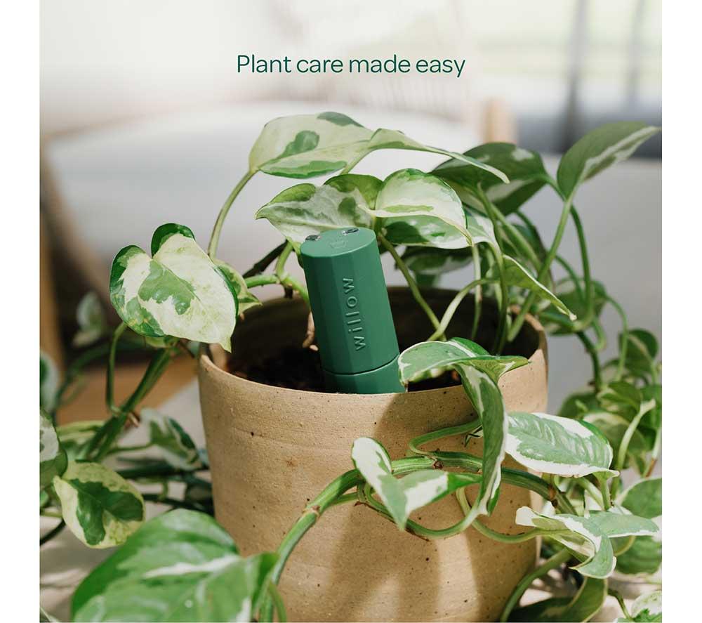 WILLOW Urban Jungle Plant Sensor Pack - Moss, Pack of 5 image number 7 of 7