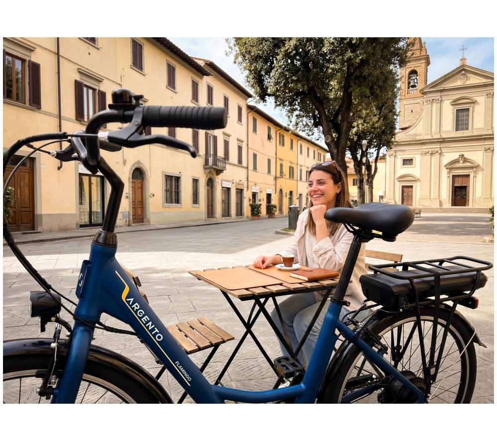 ARGENTO Flamingo Electric Bike - Blue image number 10 of 10