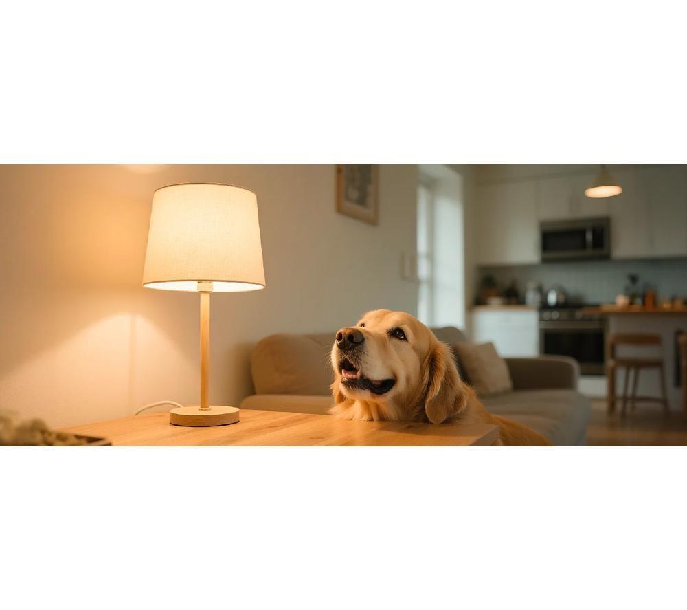 LEPRO Filament LED Light Bulb - B22, Warm White, Pack of 4 image number 3 of 5