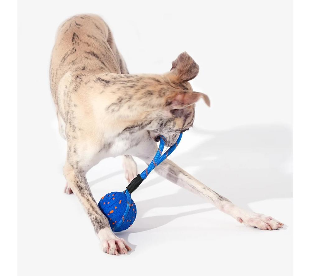 CHEERBLE Wicked Ball Air Rope Pet Toy - Blue image number 2 of 6
