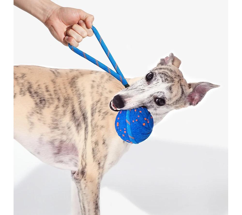 CHEERBLE Wicked Ball Air Rope Pet Toy - Blue image number 5 of 6