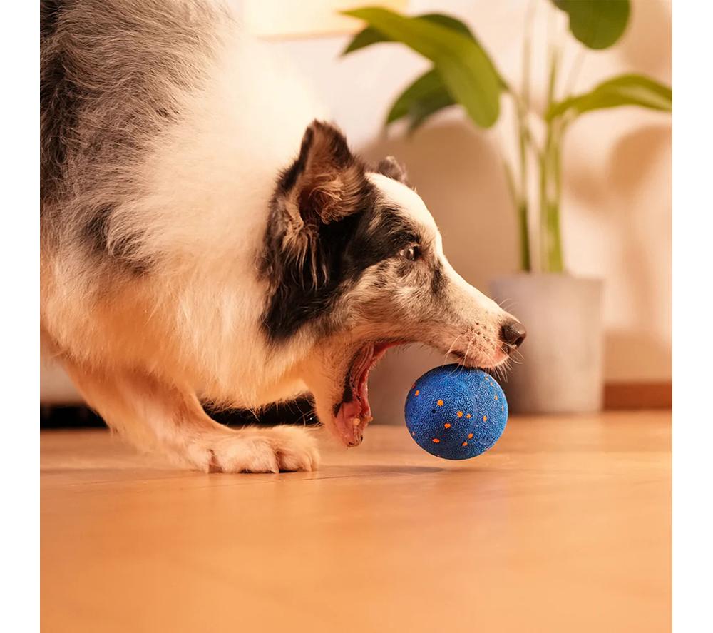 CHEERBLE Wicked Rugby Ball - Blue image number 3 of 9