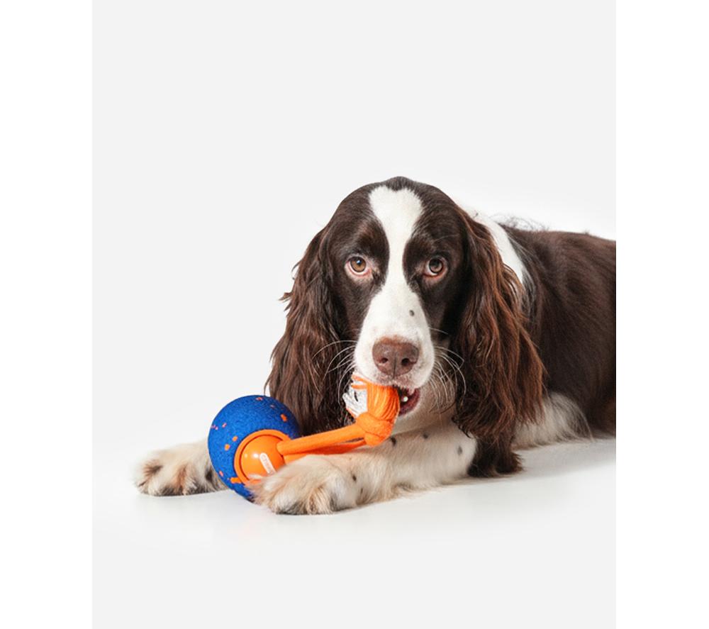 CHEERBLE Wicked Ball Rolly Pet Toy - Blue & Orange image number 2 of 16