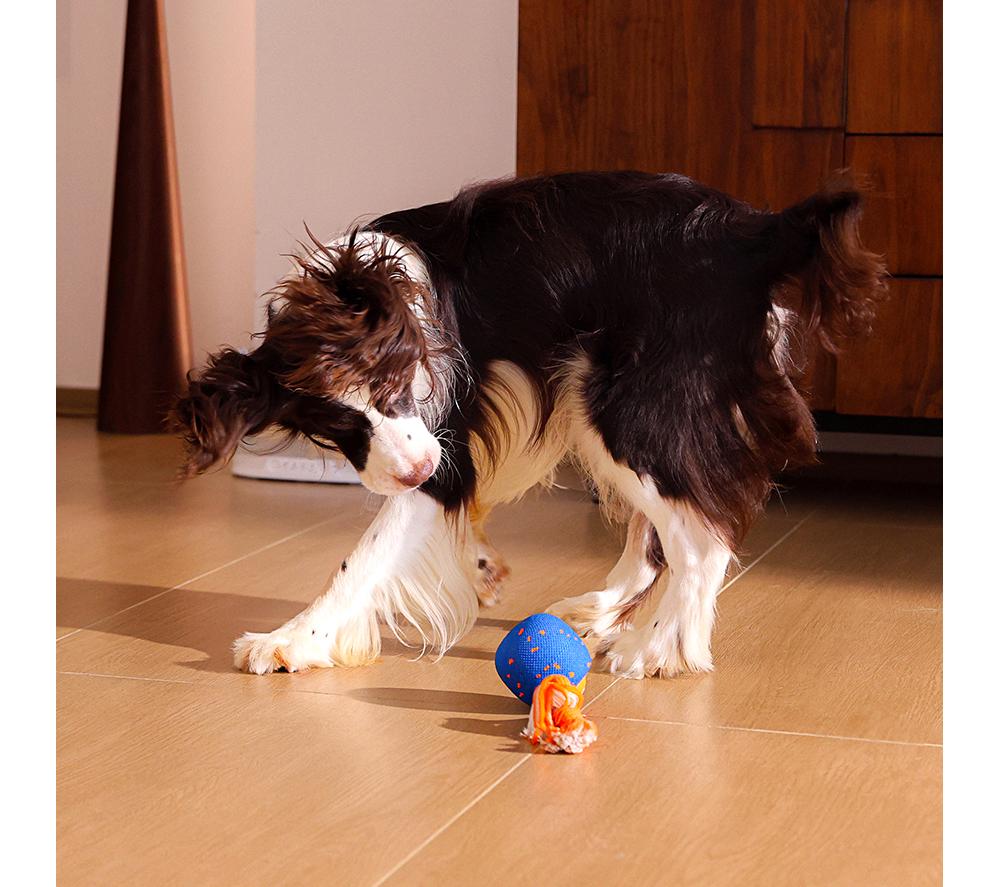 CHEERBLE Wicked Ball Rolly Pet Toy - Blue & Orange image number 3 of 16