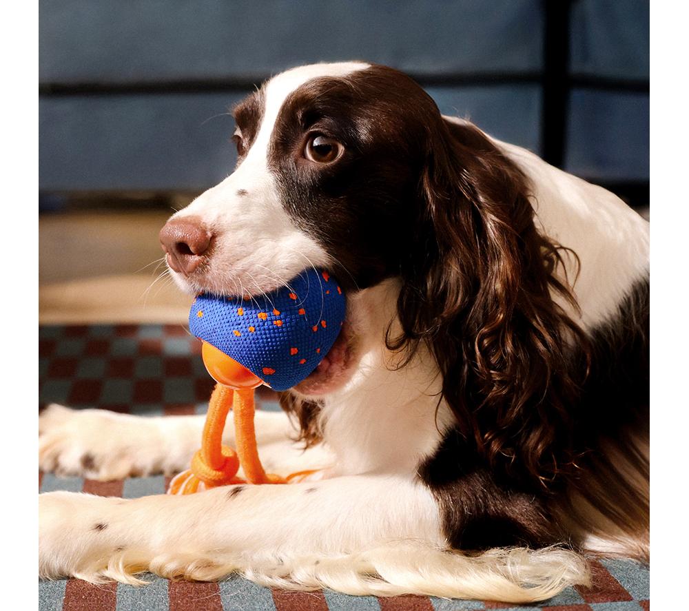 CHEERBLE Wicked Ball Rolly Pet Toy - Blue & Orange image number 4 of 16
