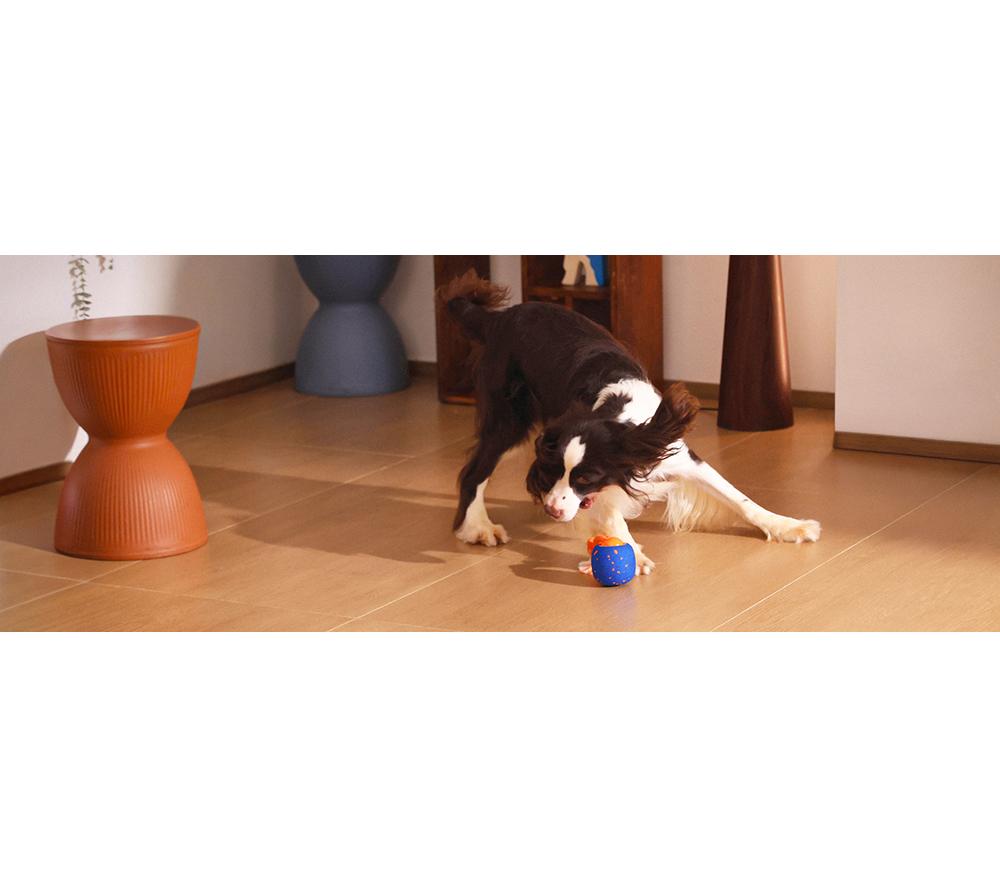 CHEERBLE Wicked Ball Rolly Pet Toy - Blue & Orange image number 6 of 16