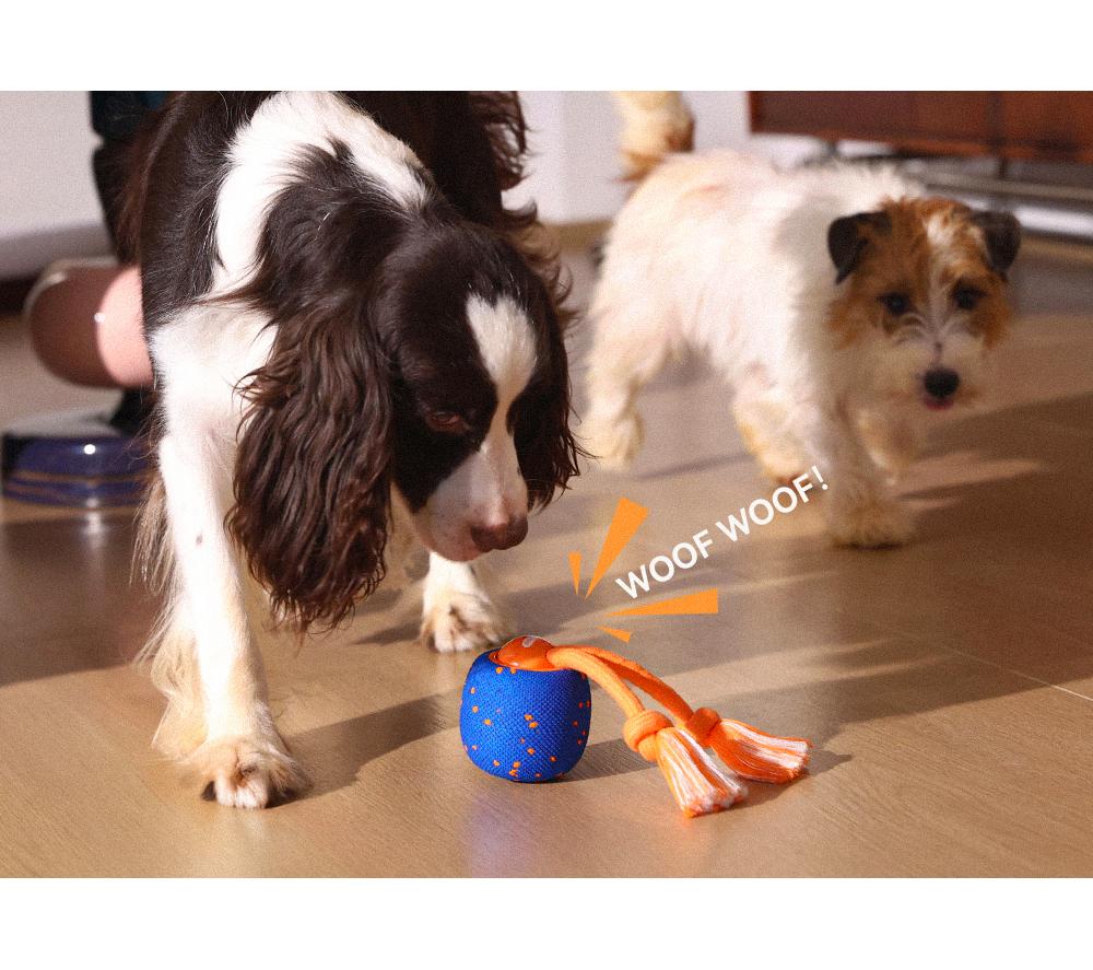 CHEERBLE Wicked Ball Rolly Pet Toy - Blue & Orange image number 7 of 16