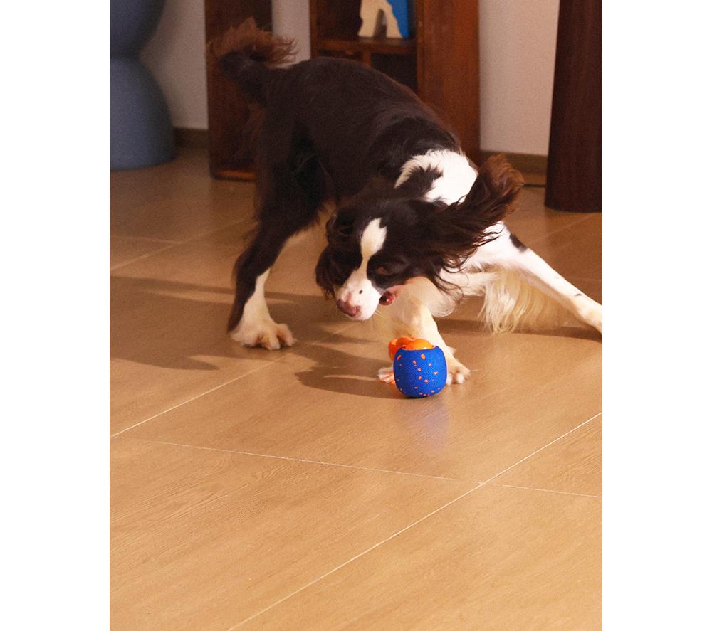 CHEERBLE Wicked Ball Rolly Pet Toy - Blue & Orange image number 12 of 16