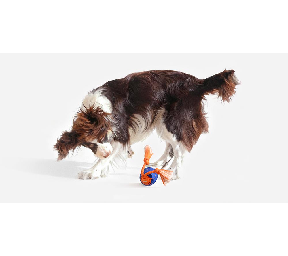 CHEERBLE Wicked Ball Rolly Pet Toy - Blue & Orange image number 14 of 16
