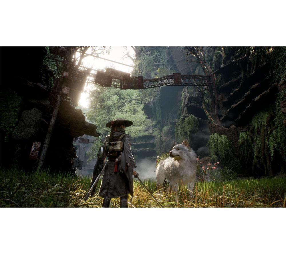 PLAYSTATION Beast of Reincarnation - PS5 image number 2 of 6