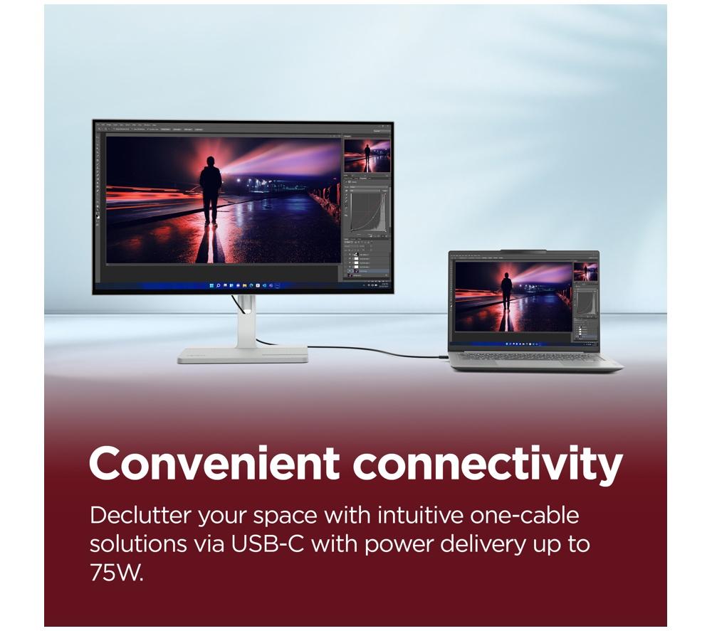 LENOVO L24D-4C Full HD 23.8" IPS Monitor - Grey image number 3 of 11