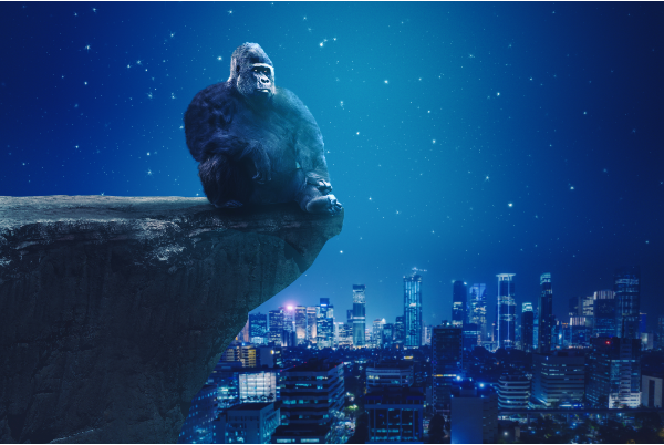 king kong 2005 film