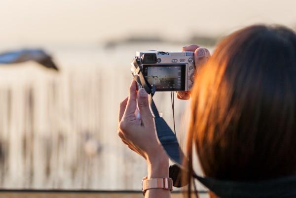 woman taking photos of birds with a sony csc mirrorless camera