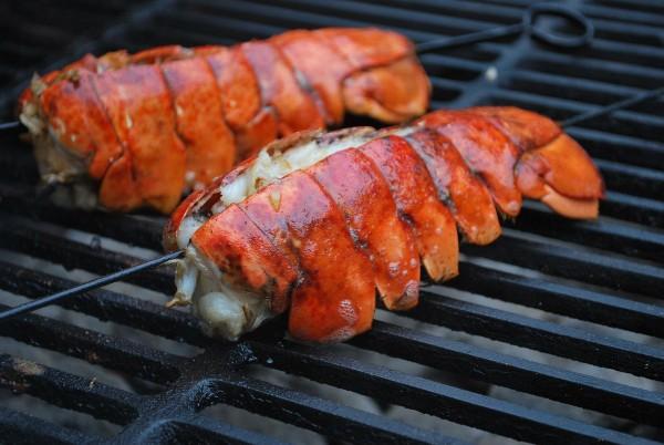 grilled lobster