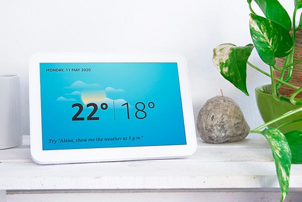 amazon echo show alexa table plant