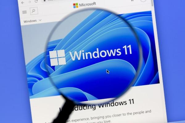 windows 11