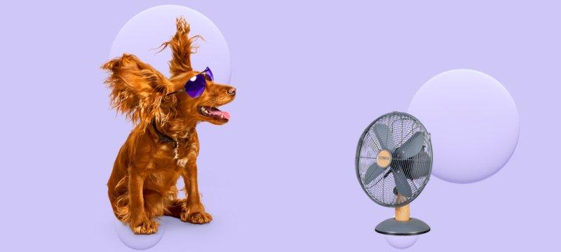 Currys fans sales