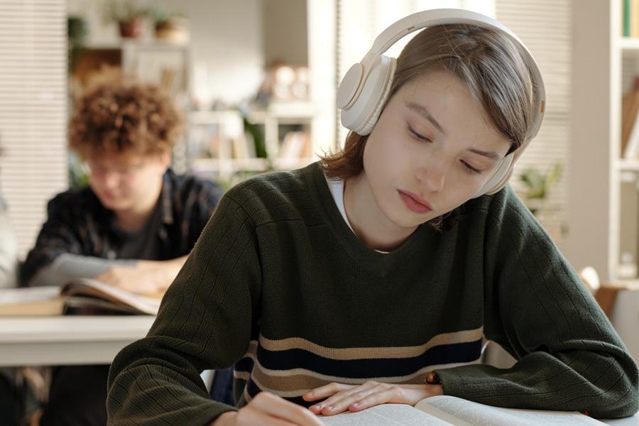 Noise cancelling headphones