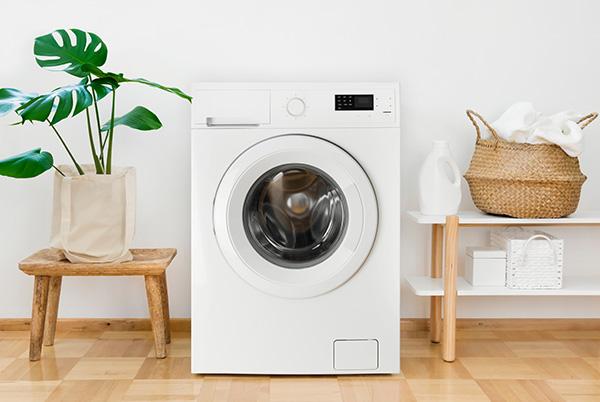 a washing machine sitting in a room with a potted plant