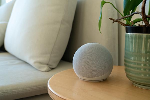 amazon echo side table living room plant