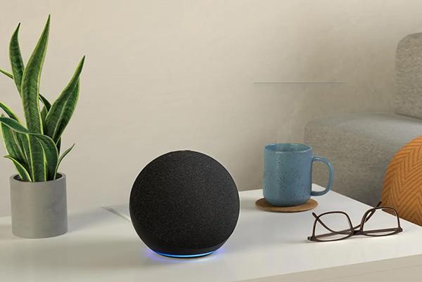 amazon echo sideboard plant glasses mug