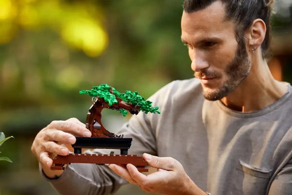 a man holding a lego botanicals bonsai tree in his hands