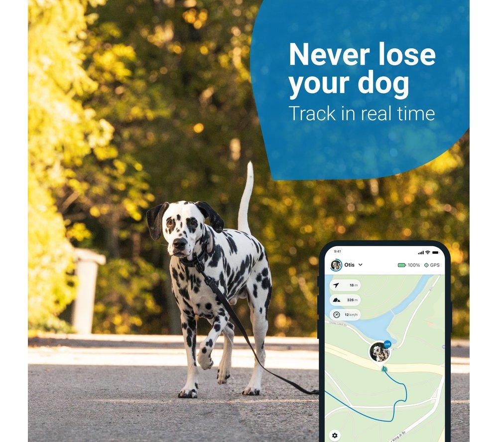 Tractive GPS Tracker & Health Monitoring for Dogs: A Comprehensive