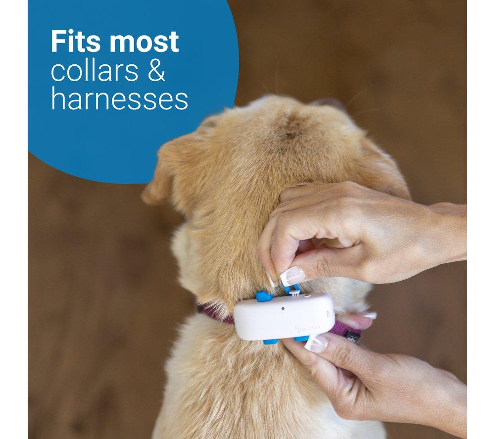 TRACTIVE GPS DOG 4 - Dog Tracker and Activity Monitor - White image number 6 of 9