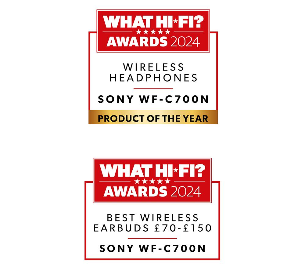 Sony on sale true wireless