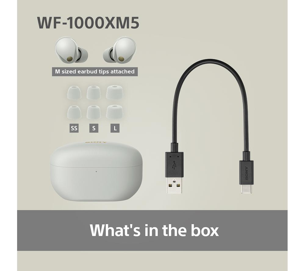 SONY WF-1000XM5 Wireless Bluetooth Noise-Cancelling Earbuds - Silver - image 11