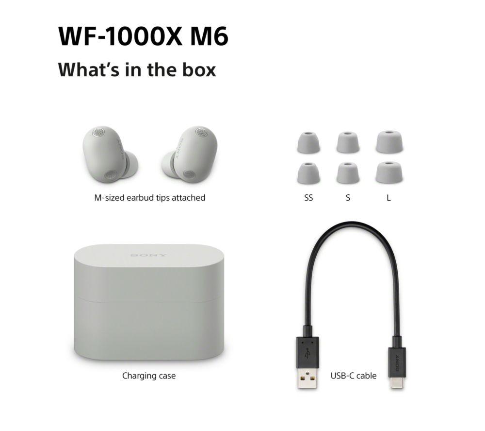 SONY WF-1000XM6 Wireless Bluetooth Noise-Cancelling Earbuds - Silver image number 11 of 19
